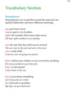 1st Grade Grammar Vocabulary Homophones Synonyms Antonyms (1).jpg